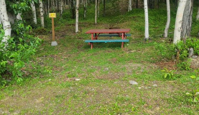 Houston Grass Station Campsite #28