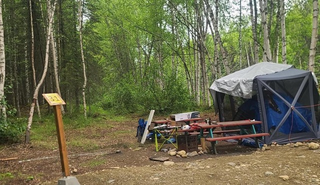 Houston Grass Station Campsite #31