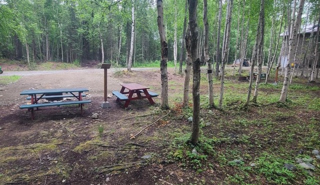 Houston Grass Station Campsite #35