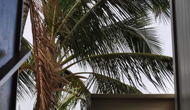 Kaua'i Palms Hotel