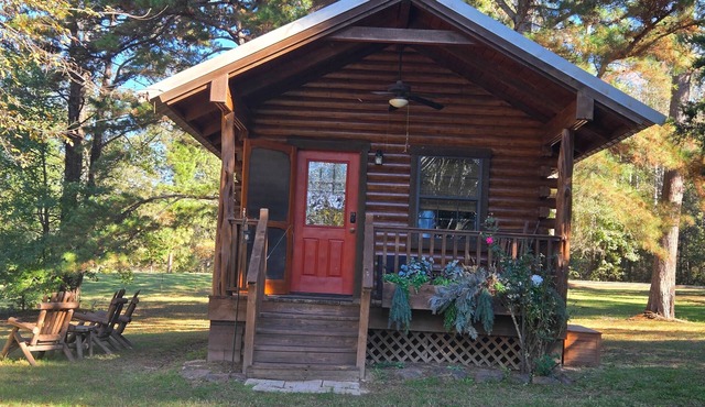 Lakeview Cabin Littlest Longhorn