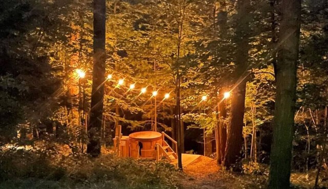 Loblolly Pines 4 Adventure A frame