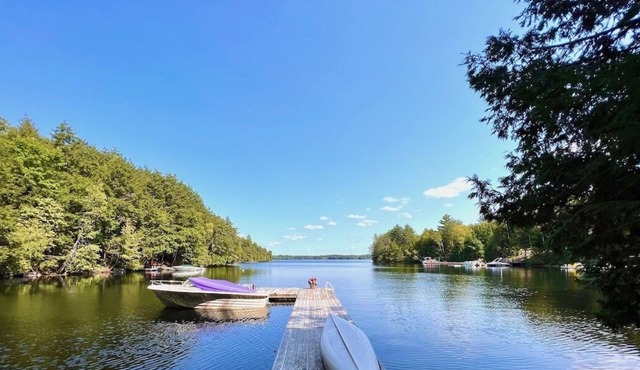 Loon Bay Serenity on Chandos Lake