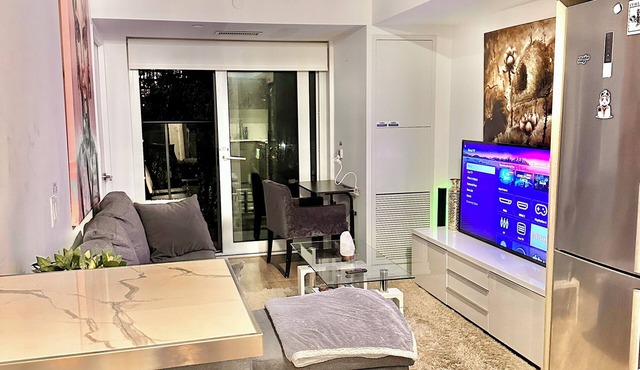Lovely 1Br Condo in the heart of downtown Toronto