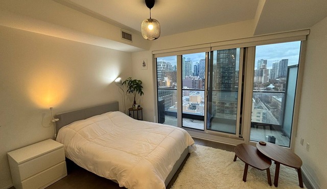 Luxurious Condo in Downtown Toronto