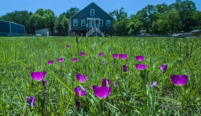 Luxury Waterfront Estate Sleeps 19 - Weddings, Events, Cinema, Dock at Tin Top