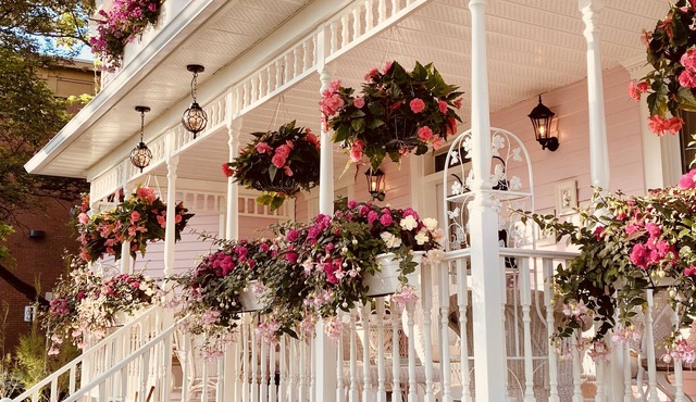 Maison Rose