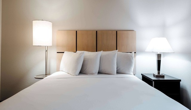 Make Your Trip More Enjoyable! Pets Allowed, Free Parking Onsite