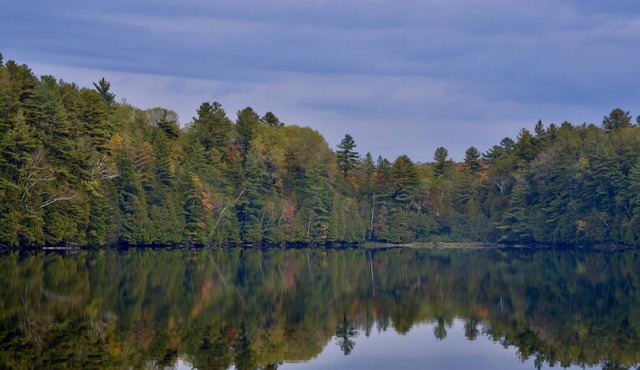 Million Dollar Views and Lasting Memories near Coe Hill Ontario