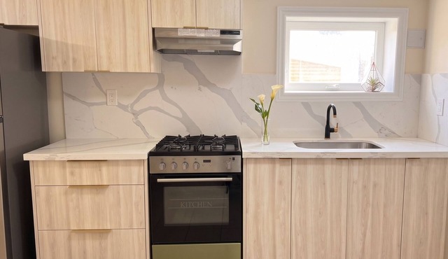 Modern 1-bedroom, upgraded, close to amenities, TTC at doorstep, big backyard