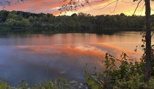 Nature bathing in Levis