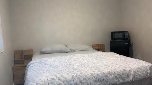 Near Toronto Pearson Airport Queen Room