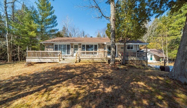 NEW! Nature Lover's Retreat- Family friendly cottage on Malcolm Lake