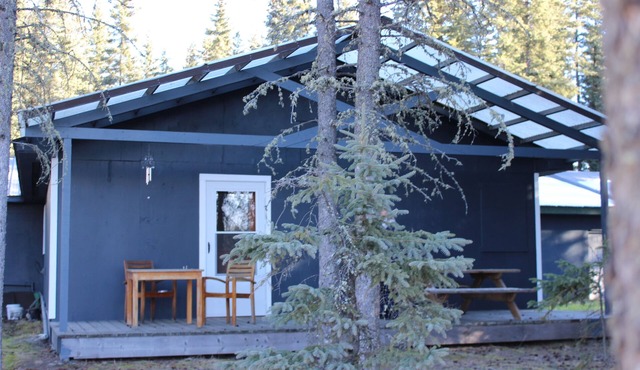 North Pole Aurora Lodge-Charming 2-bedroom in North Pole-WiFi and aurora viewing