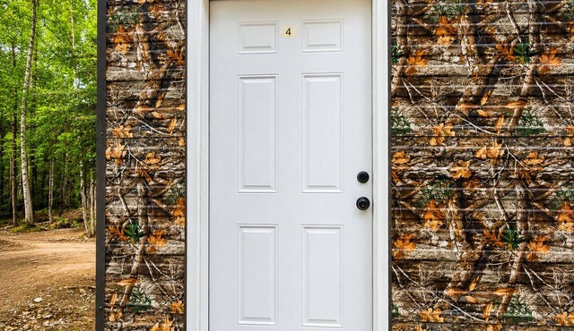 Northern Lights Camo Cabin #4