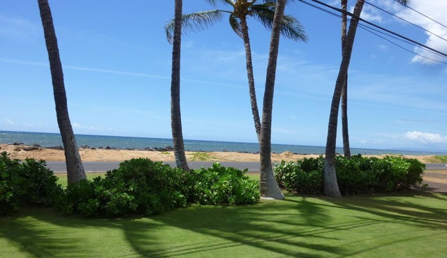 Ocean Front.Hale Kekaha Palms at the Beach.Air Conditioned - TVNCU #1004