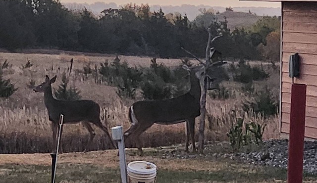One4-bedroom cabins with WiFi and AC in Crofton, NE. Reserve for one night/more.