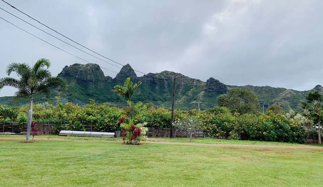 Peaceful Paradise