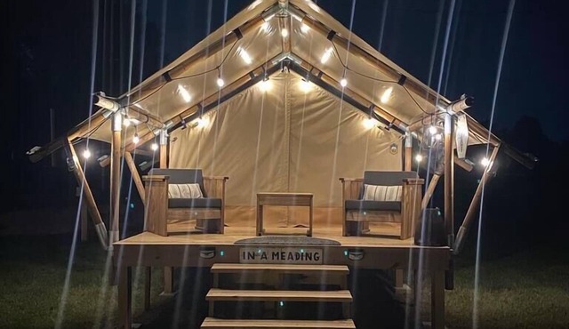 Pet-Friendly Glamping on a Honey Farm
