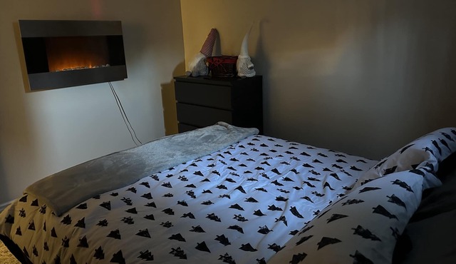 Pet friendly private basement near airport