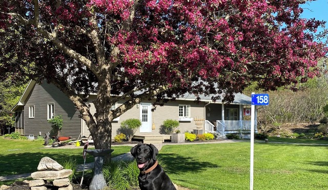 Pike Lake Lodge Provides a cottage experience with all the conveniences of home.