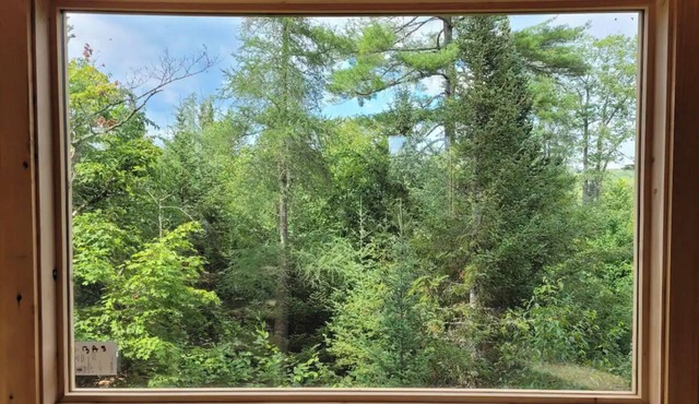 Plus haute cabane dans les arbres en Amérique du Nord - Harrington, Canada