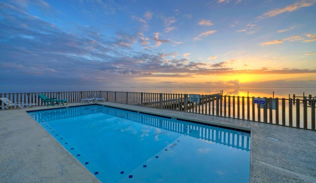 Pool Access + Boat Dock | Steps to the Gulf | The Pintail by AvantStay