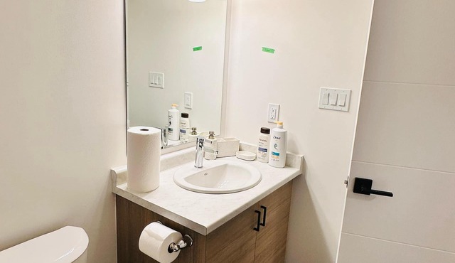 Private and Spacious Basement Studio