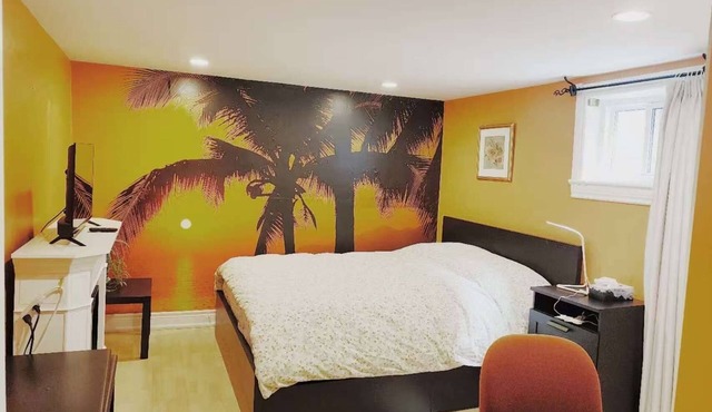 Quite Basement with separate entrance, Friendly neighborhood,