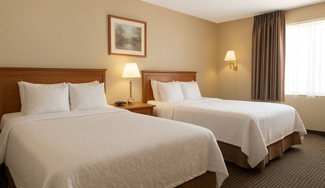 Rocky Mountain Lodge - 2 Queen Bed Size