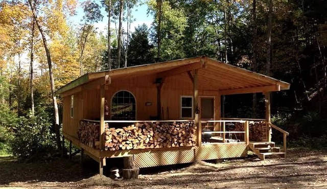 Rustic Creekside Cabin on 100-Acre Forest near Letchworth Park, New York