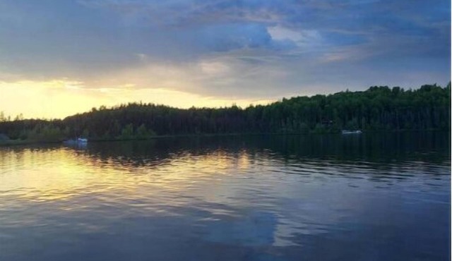 Rustic dry Cabin on Nancy Lake! True Alaskan Experience with Outhouse!