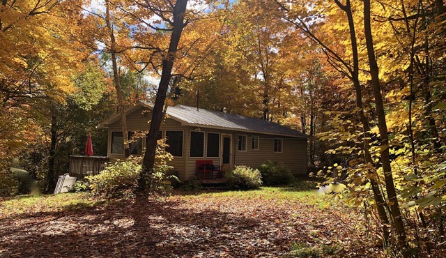 Secluded 10 Acre Cottage with Canoes, Kayaks and Fun!