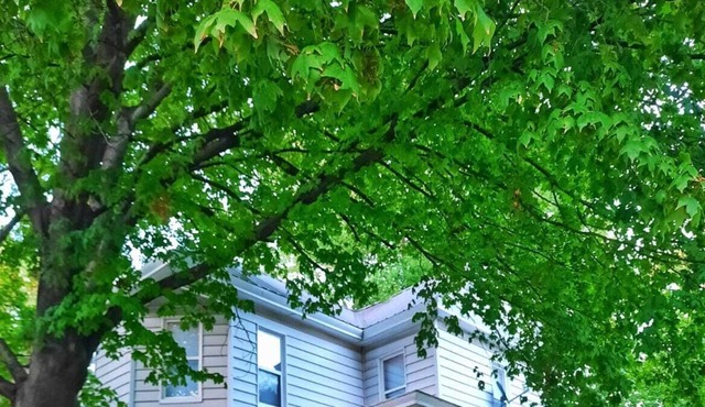 Spacious remodeled Victorian home, close to downtown Palmyra!
