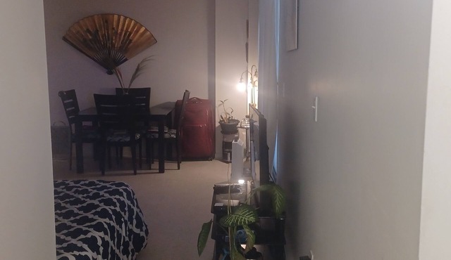 Spacious renovated 2 1/2 sleeps 3