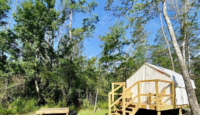 Tentrr State Park Site - Louisiana Tickfaw State Park - Woodland G - Single Camp