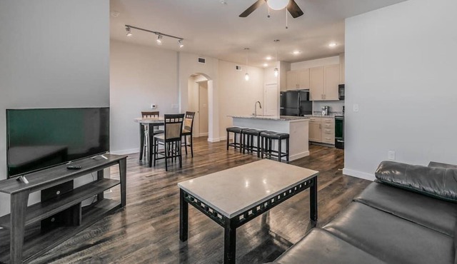 Texas Corporate Housing Professional Apartment