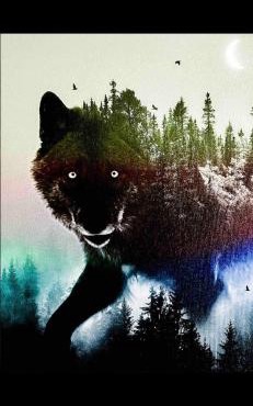 The Wolfs Den