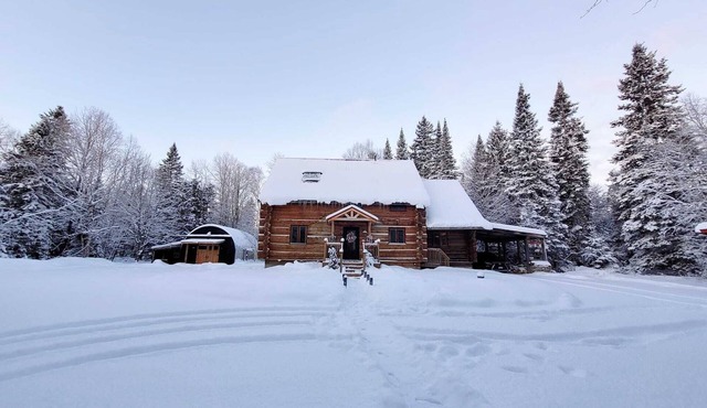 The Wooded Oasis - Cozy Winter Cottage w/Hot Tub & Sunken Firepit