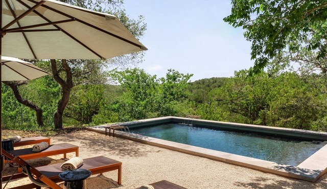 Tranquilo - Dripping Springs Farmhouse w. Heated Saltwater Pool, Sauna & Hot Tub
