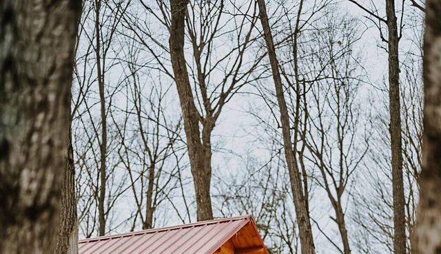 Treehouse On Animal Sanctuary Hottub/Sauna/Trails