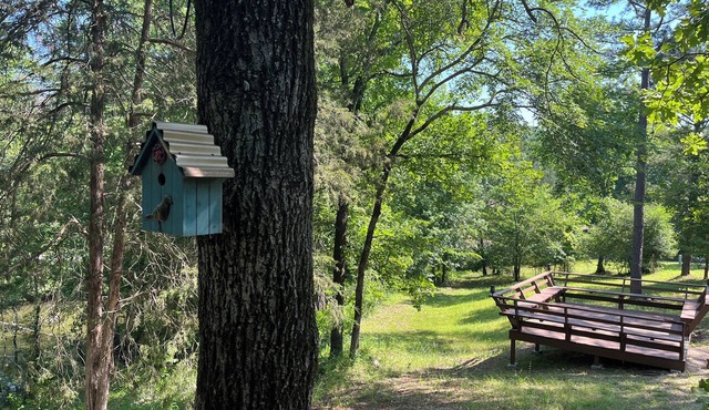 Venus ~ Cabin Sixteen ~ Pet Friendly ~ Lakefront