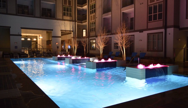 VIP level unit! Beautiful Downtown Ft Worth Fully Furnished Short Term Options!
