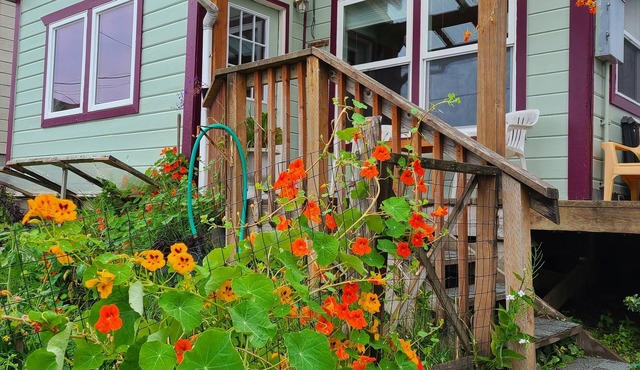 Visit and relax in Tenakee Springs