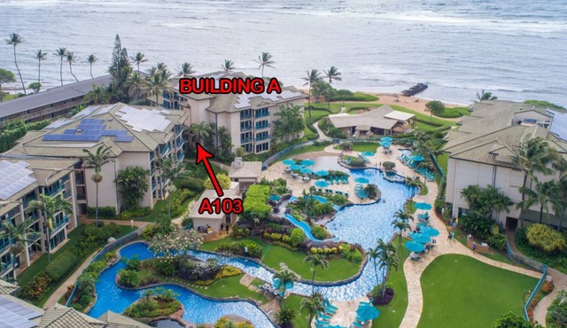 Waipouli Beach Resort A103 1st Floor Beautiful Garden View Steps from the Ocean