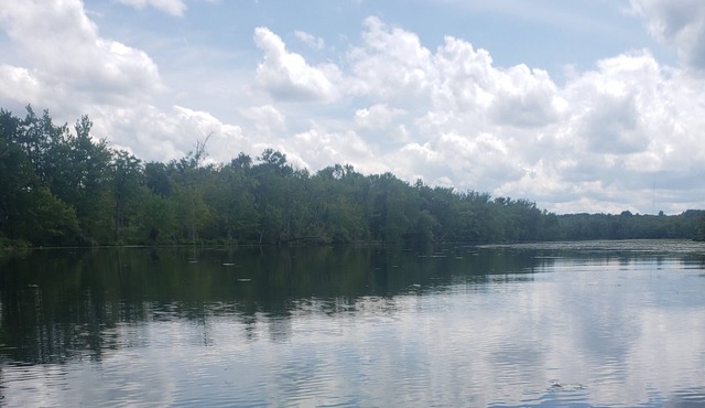 Waterfront Home on Chadakoin River! 10 minutes to Chautauqua Lake!