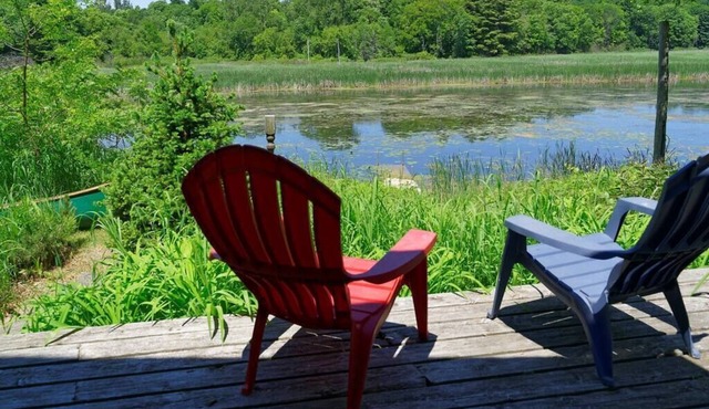 Welcome to Black River - Nature Lovers Paradise