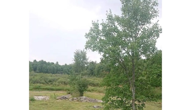 White Raven Cottage is the peaceful, escape you’ve been longing for