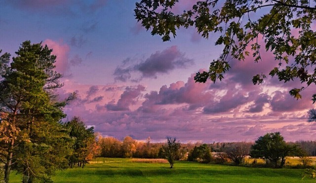 Wiarton Secluded Cottage · Secluded Cottage | Rustic | Trails | BBQ | Firepit