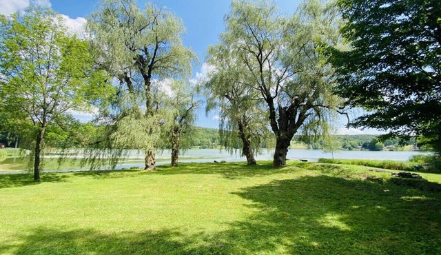 Willow Point Cabin:Brenchly Lake